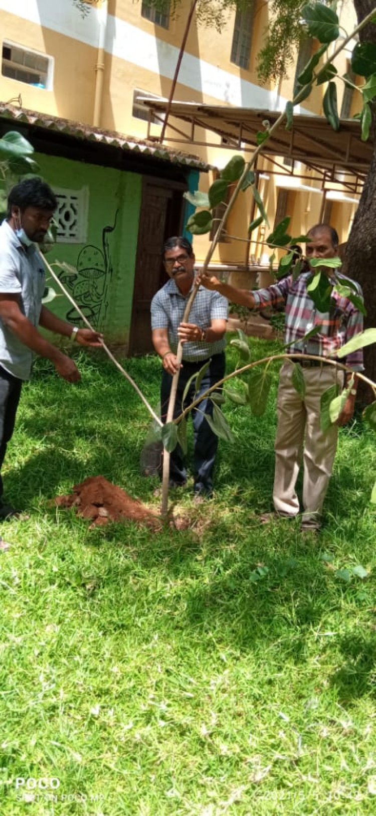 விண் பதியம் முறையில் புதிய மரக்கன்றுகளை உருவாக்கும் முயற்சியில் திருச்சி தேசிய கல்லூரி