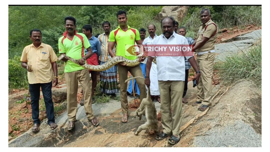 குரங்கை கொன்ற 12 அடி நீள மலைப்பாம்பு