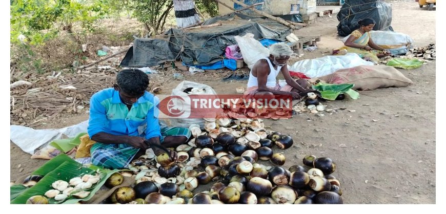 வெயில் தாக்கம் - நுங்கு விலை உயர்வு  - பொதுமக்கள் அதிர்ச்சி