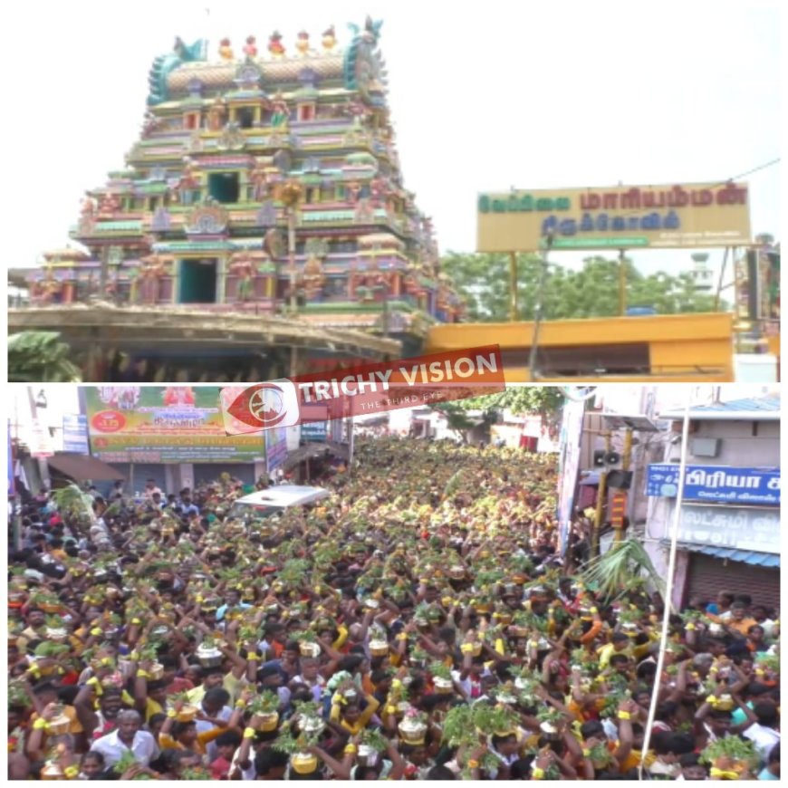 வேப்பிலை மாரியம்மன் கோவிலில் பல்லாயிரக்கணக்கான பக்தர்கள் பால்குடம் சுமந்து நேர்த்திக்கடன்