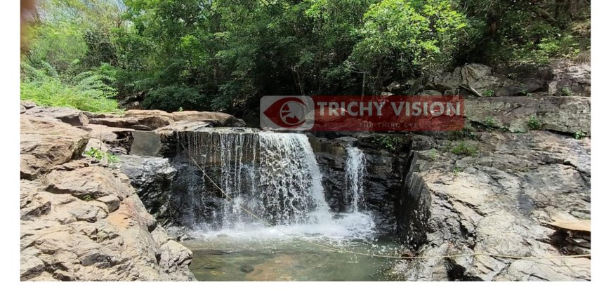 மங்களம் அருவிக்கு சுற்றுலாப் பயணிகள் செல்ல வனத்துறையினர் தடை