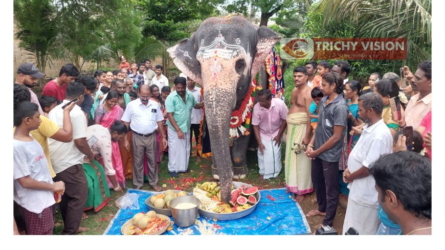 அகிலாவிற்க்கு பிறந்தநாள் - பக்தர்கள் வாழ்த்து - மகிழ்ச்சியில் ஒரே ஆட்டம்