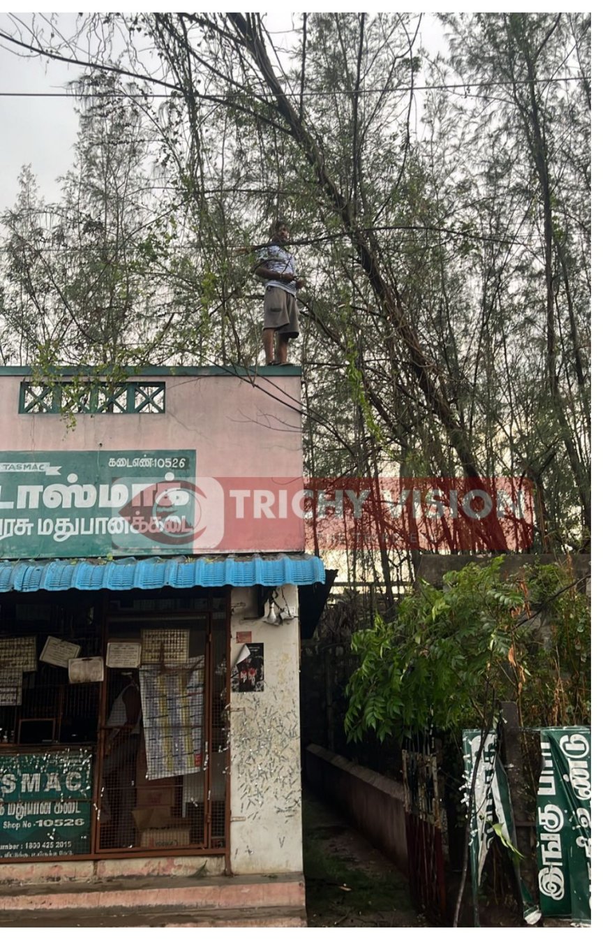 திருச்சியில் வீசிய பலத்த காற்று - டாஸ்மாக் கடை மீது விழுந்த மரம்