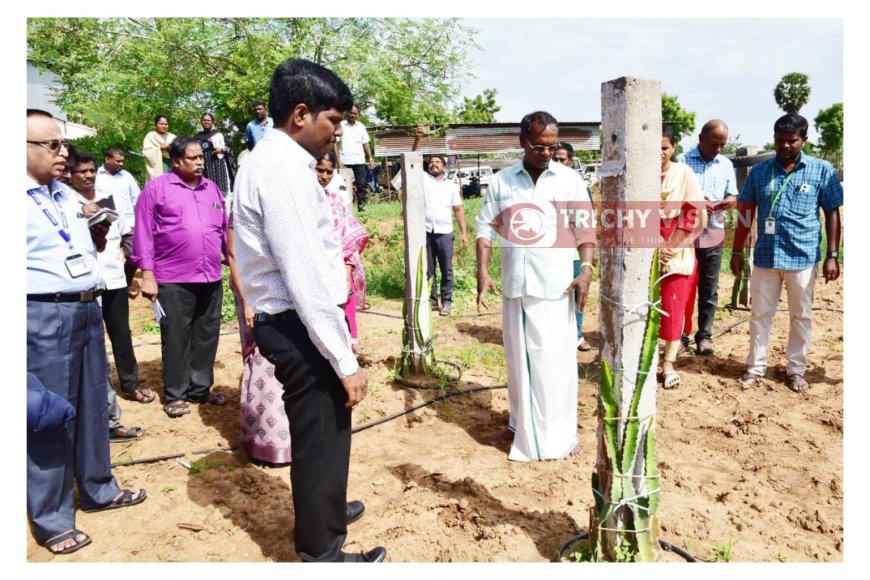 பல்வேறு வளர்ச்சித் திட்டப்பணிகளை மாவட்ட ஆட்சித்தலைவர் ஆய்வு