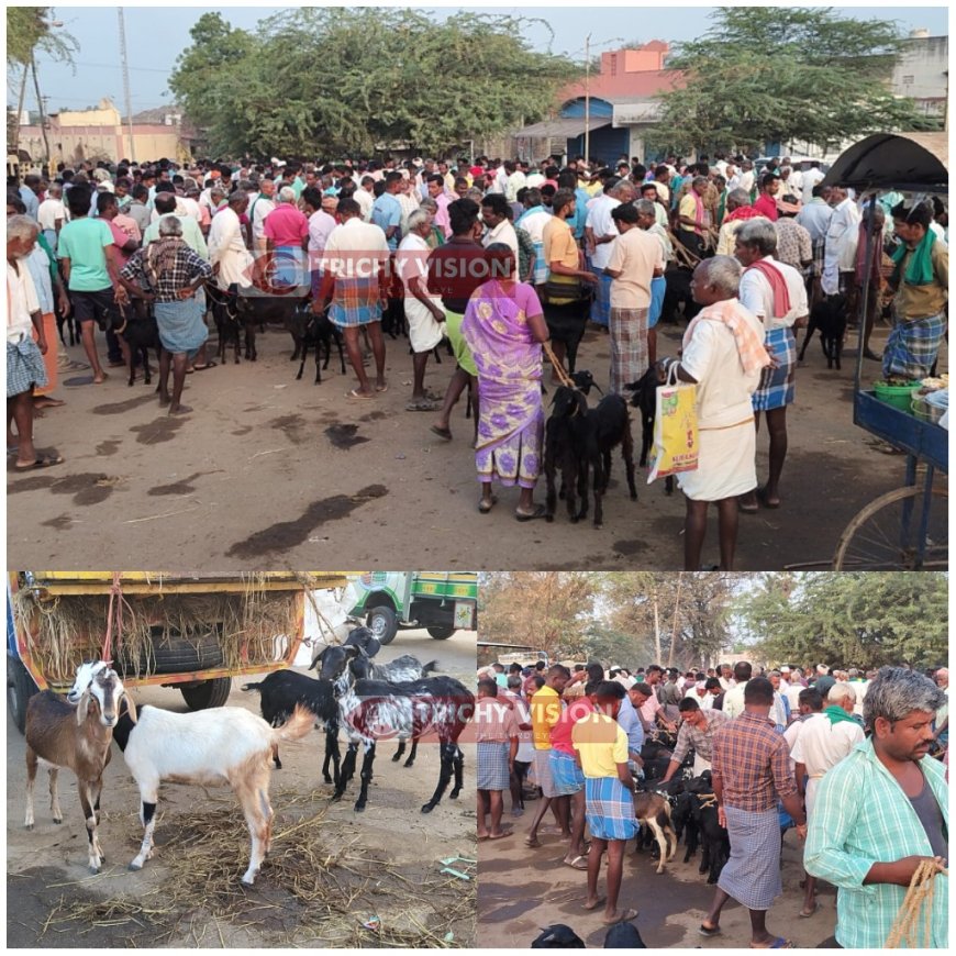 பக்ரீத் பண்டிகை - திருச்சியில் ரூ 1 கோடி அளவில் ஆடுகள் வர்த்தகம்