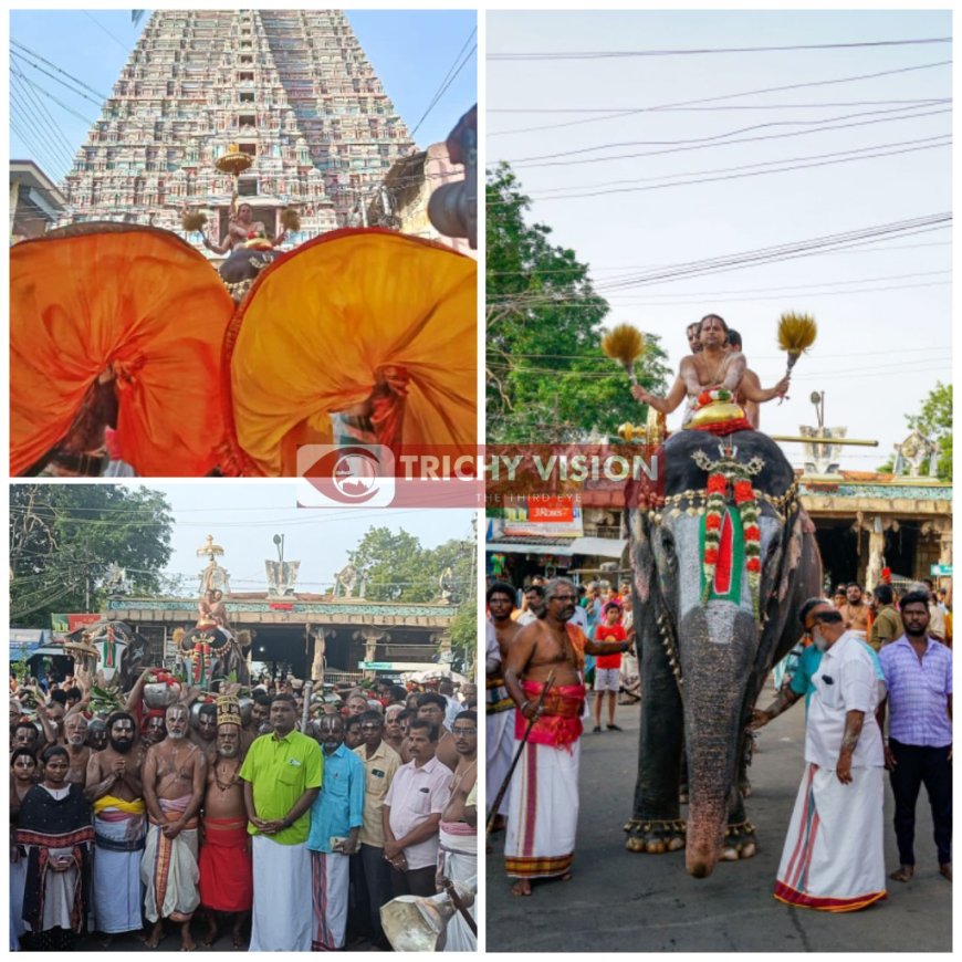 ஸ்ரீரங்கம் அரங்கநாதர் சுவாமி திருக்கோவிலில் ஜேஷ்டாபிஷேகம்