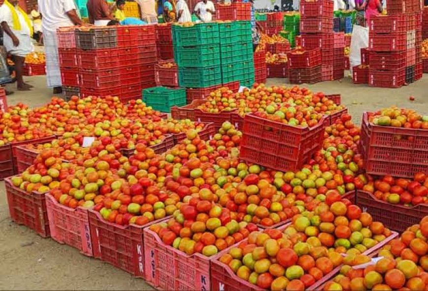 திருச்சியில் 50 முதல் 60 ரூபாய் வரை விற்பனையாகும் தக்காளி.