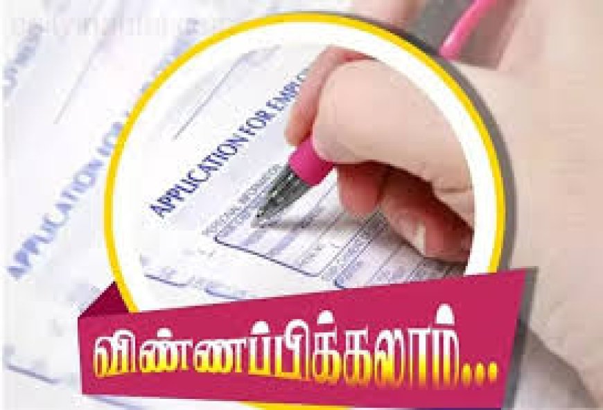 சமுதாய அமைப்பாளர் பணிக்கு விண்ணப்பிக்கலாம் - ஆட்சியர் தகவல்