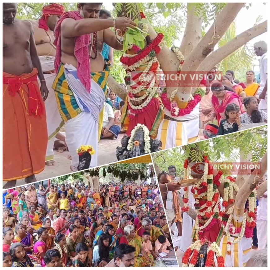 குழந்தை பேறு, திருமண வரம் வேண்டி வேம்பு, அரச மரங்களுக்கு திருமணம் செய்து வழிபாடு