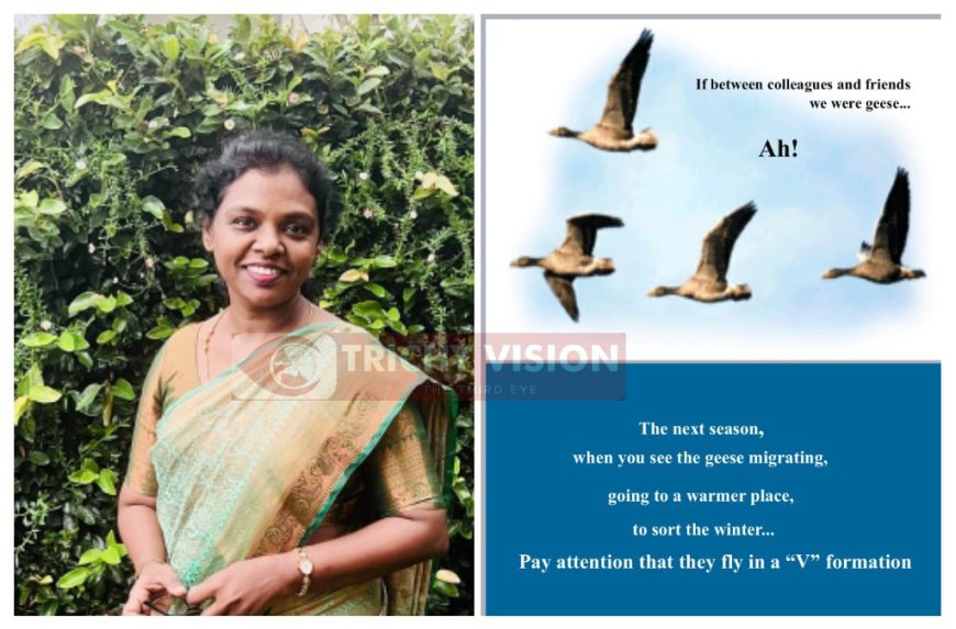 வலசை வரும் பறவைகள் போன்று செயல்பட வேண்டும் - குழு ஒற்றுமையை விளக்குகிறார் மனிதவள மேம்பாட்டு துறை நிபுணர்!!