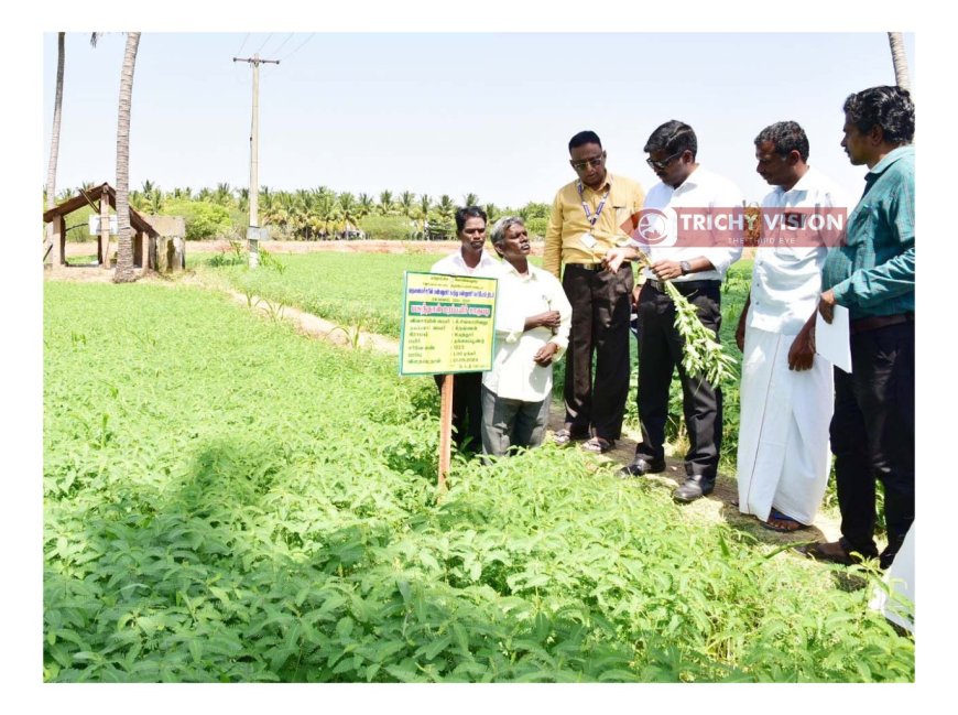 வடகிழக்கு பருவமழை - விவசாயிகளுக்கு மாவட்ட ஆட்சித் தலைவர் அறிவுறுத்தல்.