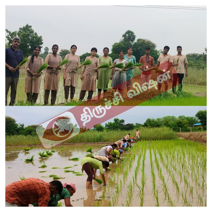 நாங்களும் விவசாயி தான் - பாரம்பரிய நெல் நடவு செய்து அசத்திய விஐடி  பல்கலை வேளாண்மை மாணவ மாணவியர்கள்