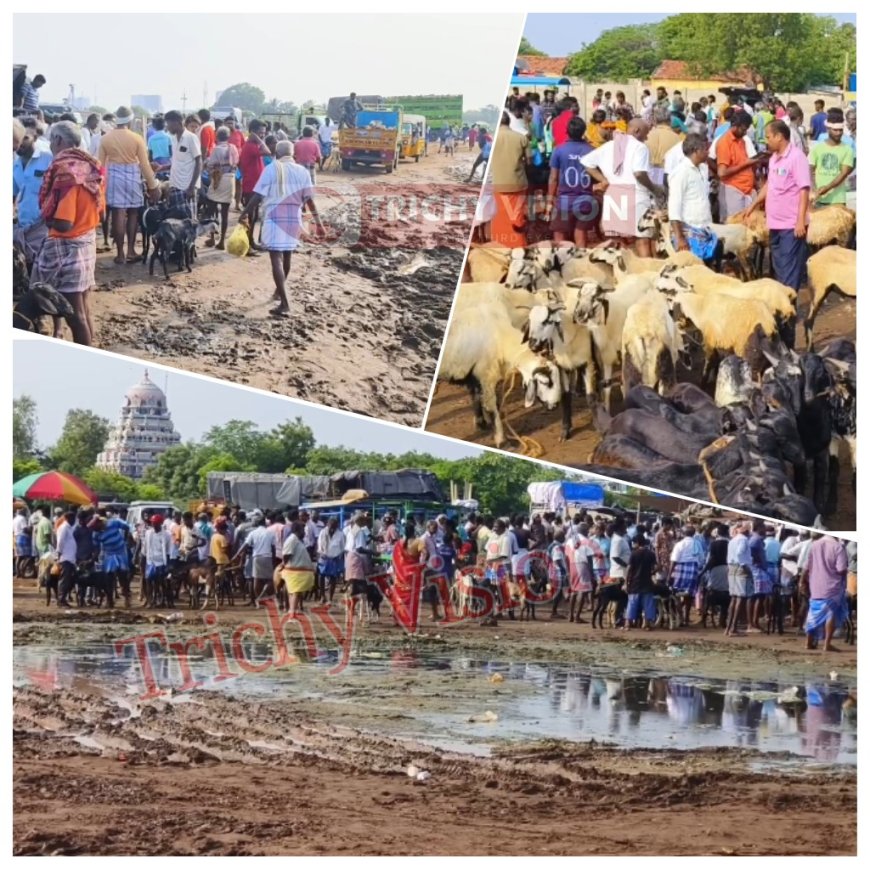 சுகாதாரமற்ற ஆட்டு சந்தை - பல கோடி ரூபாய் வியாபாரம் - வியாபாரிகள், பொதுமக்கள் அவதி.