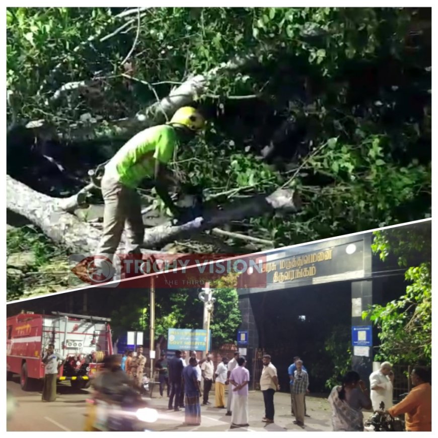 மருத்துவமனை வாசலில் அரச மரம் கிளை விழுந்து போக்குவரத்து பாதிப்பு