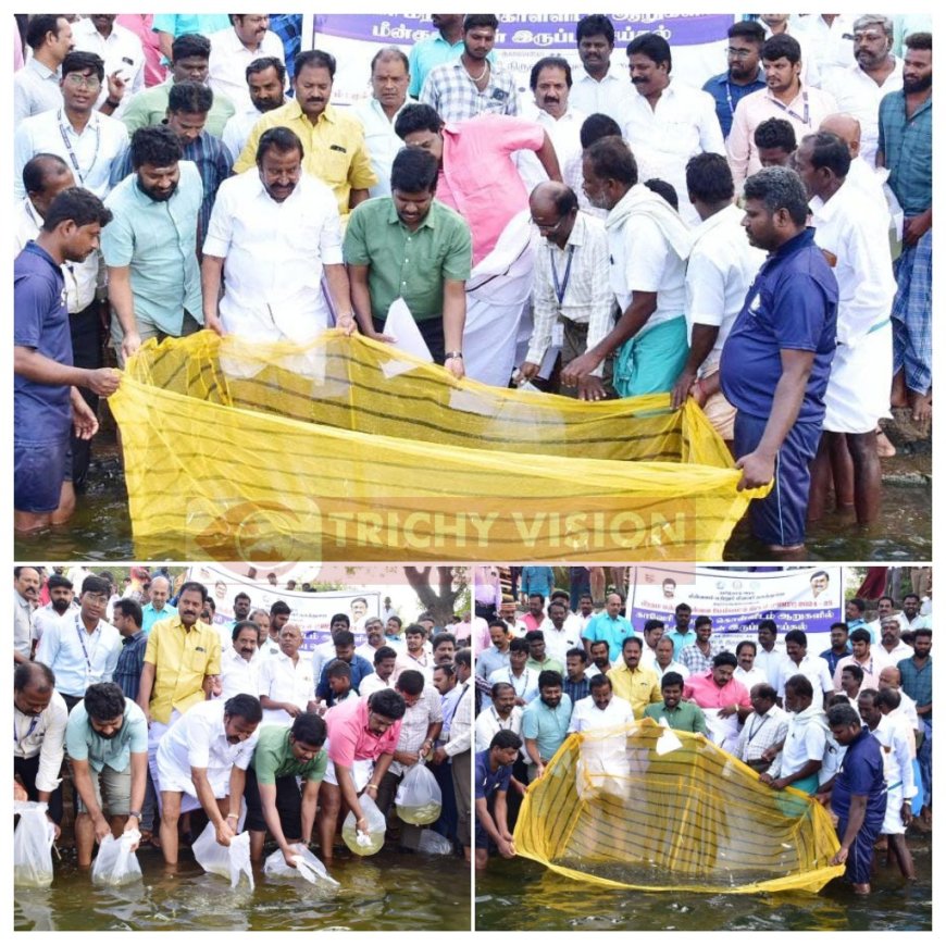 காவிரி ஆற்றில் நன்னீர் மீன்குஞ்சு பெருவிரலிகள் ஆறுகளில் இருப்பு செய்தல் திட்டத்தினை தொடங்கி வைத்த அமைச்சர்