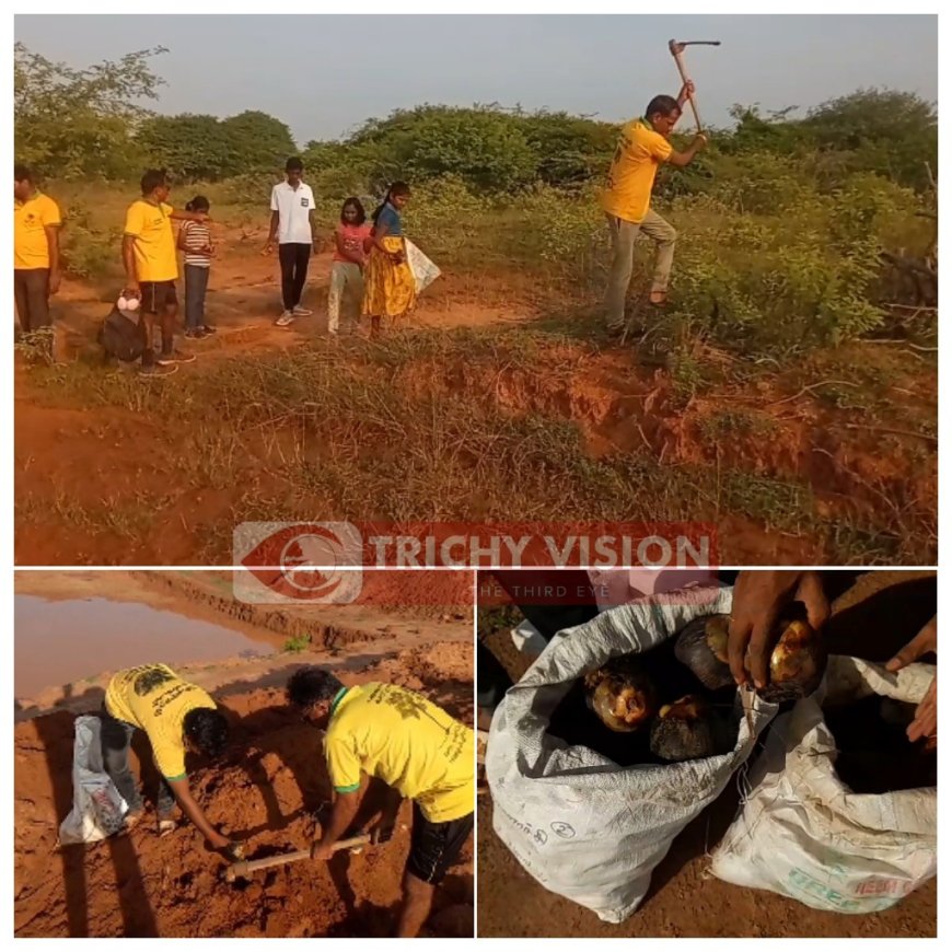 ஆண்டுக்கு மூன்று லட்சம் பனை விதைகள் விதைக்க இலக்கு