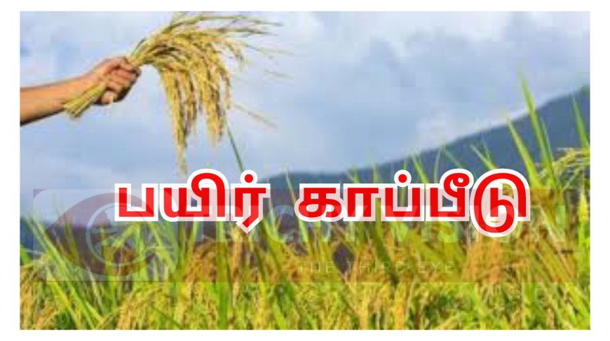 திருச்சி மாவட்டத்தில் நெல் பயிர் காப்பீடு செய்வதற்கு கால அவகாசம் நீட்டிப்பு