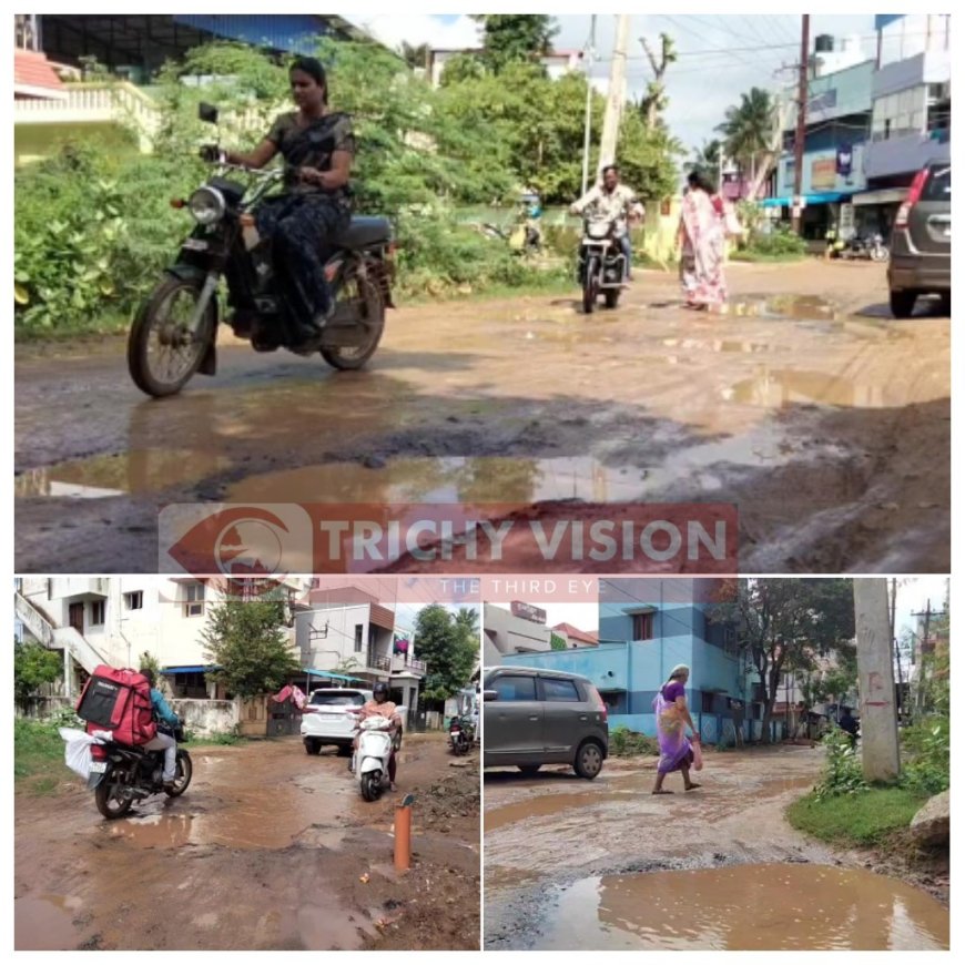 குண்டும் குழியுமான சாலை -  பொதுமக்களும் வாகன ஓட்டிகளும் அவதி