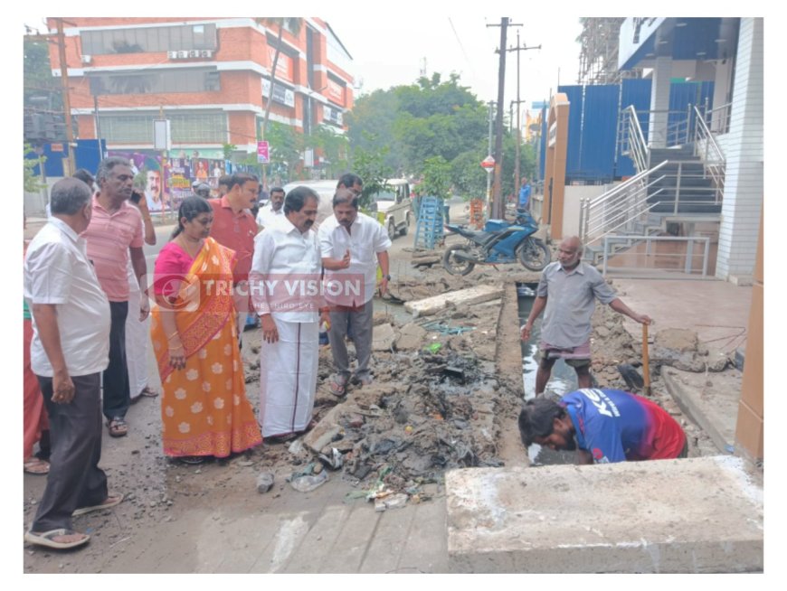 திருச்சி மாநகரில் சுகாதார பணிகள் குறித்து மேயர் ஆய்வு.