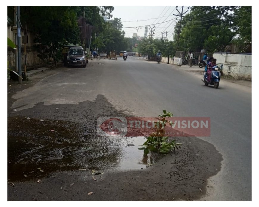 மாநகரின் பிரதான சாலையில் வீணாகும் குடிநீர்