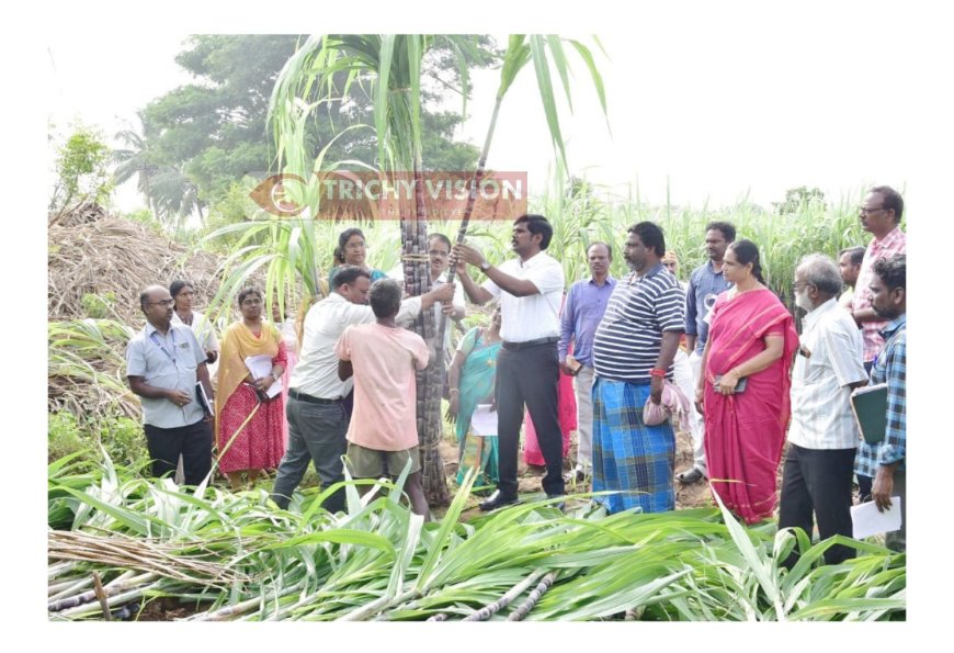 கொள்முதல் குழு அமைப்பு - இடைத்தரகர்களையோ, இதர நபர்களையோ நம்ப வேண்டாம் - மாவட்ட ஆட்சியர் தகவல்