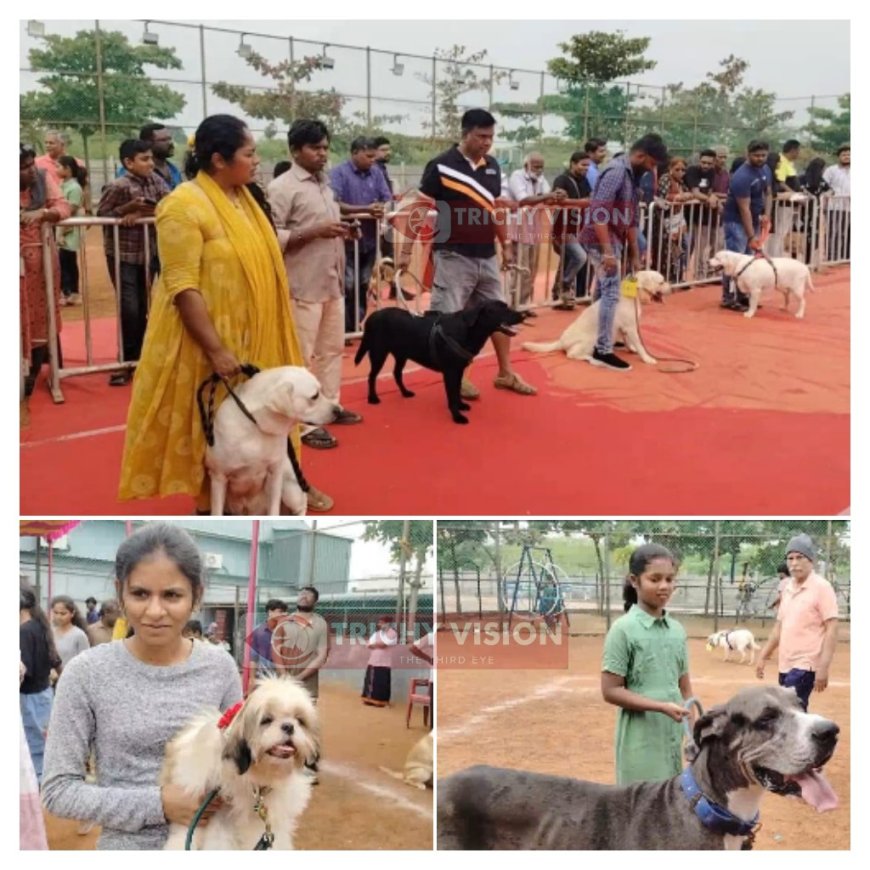 திருச்சியில் நாய்கள் கண்காட்சி - க்யூட்டாக வாக்கிங் சென்ற நாய்கள் - ஆச்சரியத்துடன் கண்டு கழித்த வளர்ப்பு நாய் பிரியர்கள்