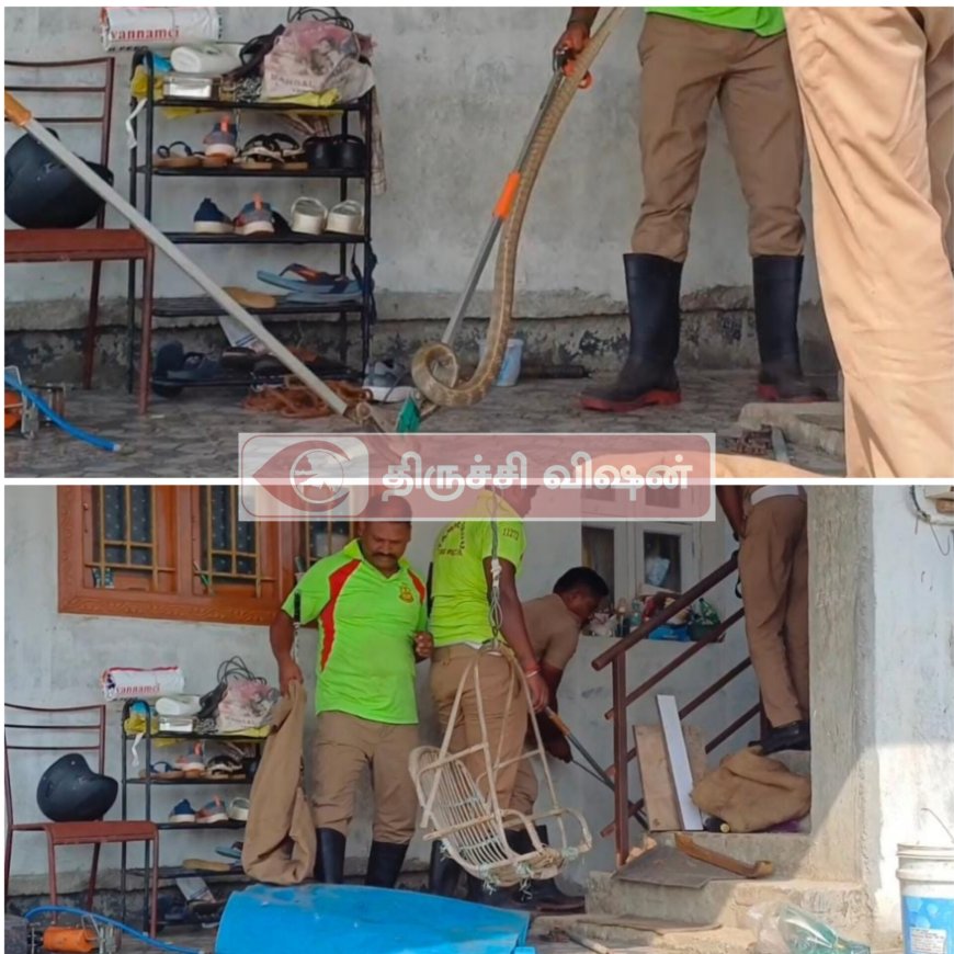 வீட்டில் நுழைந்த 7 அடி நீளமுள்ள பாம்பு- கண்டுபிடித்த வளர்ப்பு நாய்