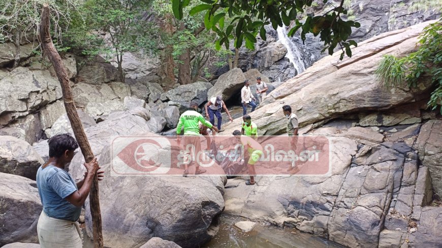 பச்சைமலைக்கு சுற்றுலா சென்ற வாலிபர் அருவியில் தவறி விழுந்து உயிரிழப்பு -போலீசார் விசாரணை