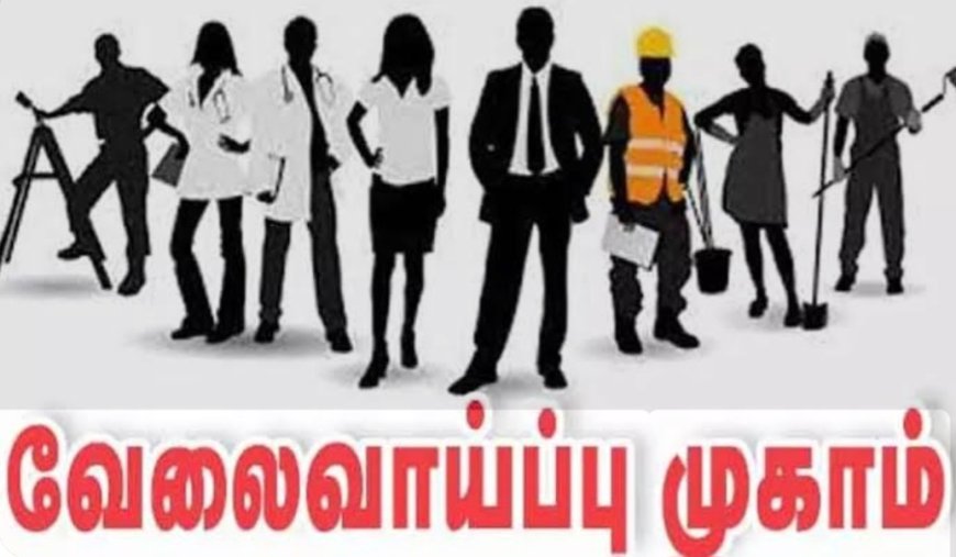 தனியார்துறை வேலைவாய்ப்பு முகாம்