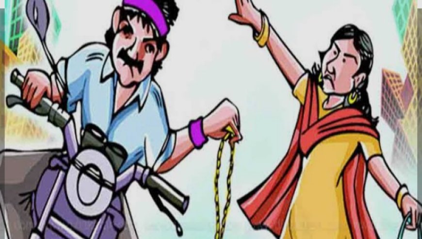 பெண்ணின் தாலி செயினை பறித்து சென்ற இரண்டு மர்ம நபர்கள்