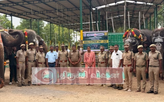திருச்சியில் உலக யானைகள் தினம் சிறப்பான கொண்டாட்டம்
