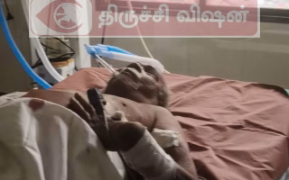 காட்டுப்பன்றி தாக்கி 2 பேர் பலத்த காயம் காட்டுப்பன்றிகளை பிடிக்க வனத்துறை 2 குழுக்கள் – கூண்டு