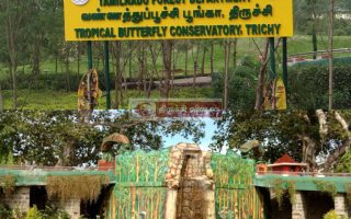 தீபாவளி விடுமுறை: வண்ணத்துப்பூச்சி பூங்கா திறப்பு!