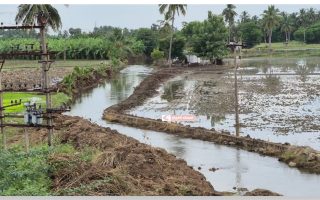 தாழையாற்றுக்கு மீண்டும் நீர்வரத்து – ஜம்பேரி நீரினை பயன்படுத்துவோர் சங்கம் முன்னெடுத்த நடவடிக்கை