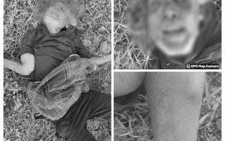 முகவரி மற்றும் அடையாளம் காண உதவுங்கள்