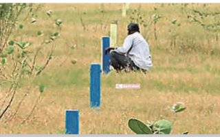 திருச்சியில் காலி மனைகள் சுகாதார அபாயம் – உரிமையாளர்களுக்கு மாநகராட்சி எச்சரிக்கை