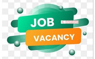 கேந்திரிய வித்யாலயாவில் 15,000 வேலைவாய்ப்புகள் – தமிழ்நாட்டுக்கு பெரிய வாய்ப்பு