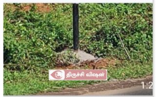 கொடியாலம் பெயர்பலகை திசை தவறில் பயணிகள் அவதியம்