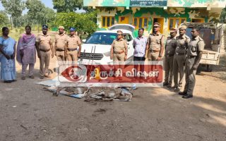 திருச்சியில் 3 மான்கள் வேட்டை: கார் மற்றும் துப்பாக்கிகள் பறிமுதல் – மர்ம கும்பலுக்கு வலைவீச்சு!
