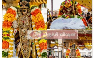 ஸ்ரீரங்கம் ரெங்கநாதர் கோவிலில் இராப்பத்து 2ம் நாள்: வைர அபயஹஸ்த தரிசனம்
