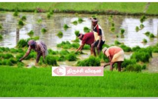 ராபி 2025-26 பயிர் காப்பீட்டில் சேர அழைப்பு – மாவட்ட ஆட்சியர் அறிவிப்பு