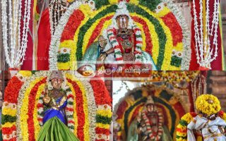திருவானைக்காவல்: ஆருத்ரா தரிசனம் மற்றும் திருவூடல் லீலை விமரிசை!