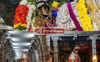 ஸ்ரீரங்கம் தைத்தேர் உற்சவம்: இன்று மாலை வெள்ளி யாழி வாகனத்தில் நம்பெருமாள் வீதி உலா!