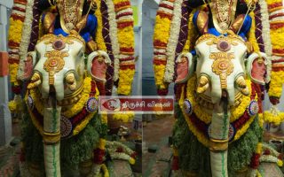 சமயபுரம் மாரியம்மன் திருக்கோயில் தைப்பூச  திருவிழா