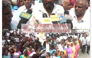 500 சவரன் தங்கம், ரூ.2 கோடி காணிக்கை மாயம்: பூசாரிகள் மீது நடவடிக்கை கோரி மனு