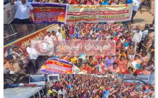 சாலை பாதுகாப்பு மாதம்: பொதுமக்களிடம் விழிப்புணர்வு பேரணி