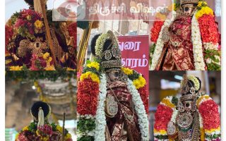 வைகுண்ட ஏகாதசி திருவிழா ராப்பத்து திருவாய்மொழி நான்காம் திருநாள் நம்பெருமாள் புறப்பாடு