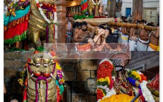 ஸ்ரீரங்கம்: நம்பெருமாள் பூபதித்திருநாள் – சிம்ம வாகன சேவை