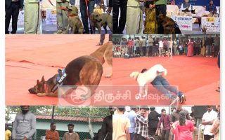 திருச்சியில் மாவட்ட நாய்கள் கண்காட்சி: அணிவகுப்பை ரசித்த மக்கள்