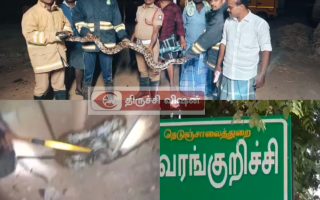துவரங்குறிச்சி அருகே 15அடி நீள மலைப்பாம்பு பிடிப்பட்டது.